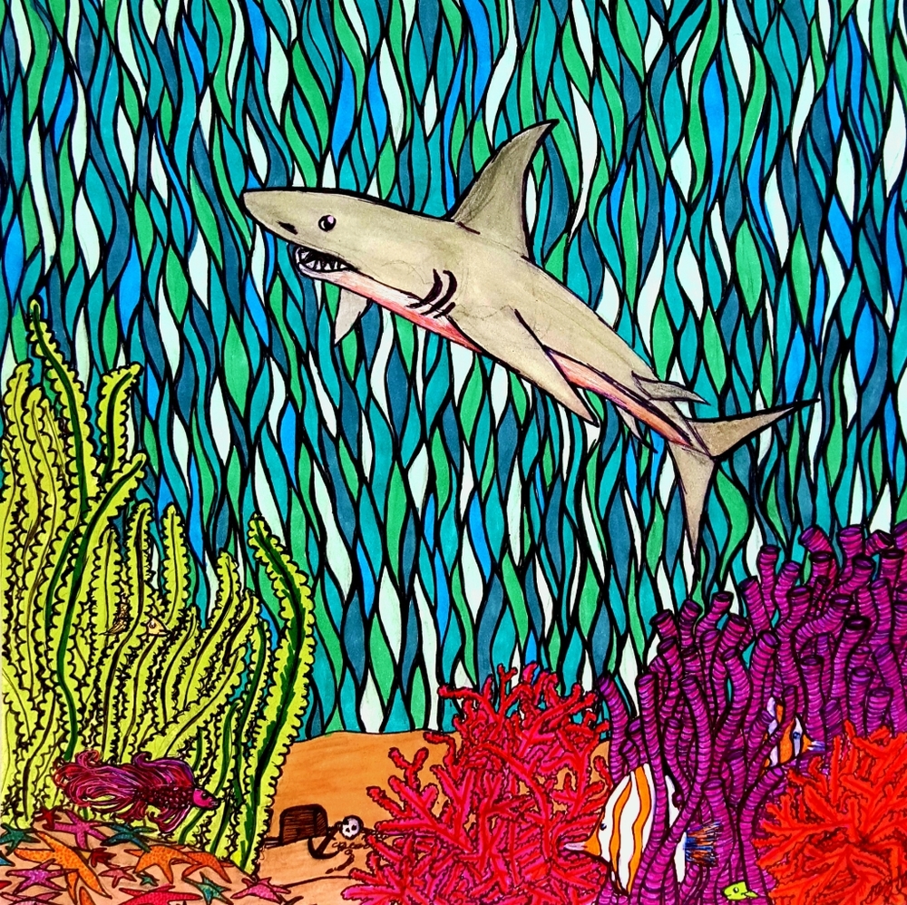 Shark Underwater ocean 8.5x11 Unframed Art Print